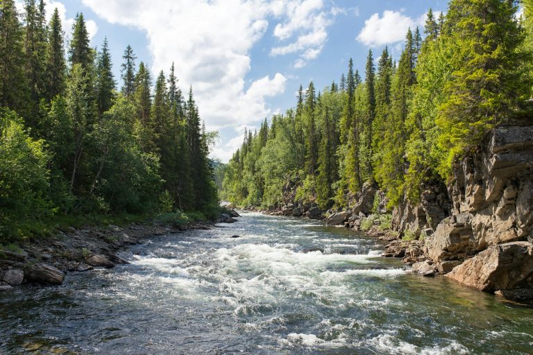 Lessons Learned: Prose and Pacing Flow